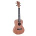 Ukulelė koncertinė Manoa su dėkliuku VG511160 VGS