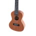 Ukulelė koncertinė Manoa su dėkliuku VG511160 VGS
