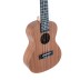 Ukulelė koncertinė Manoa su dėkliuku VG511160 VGS