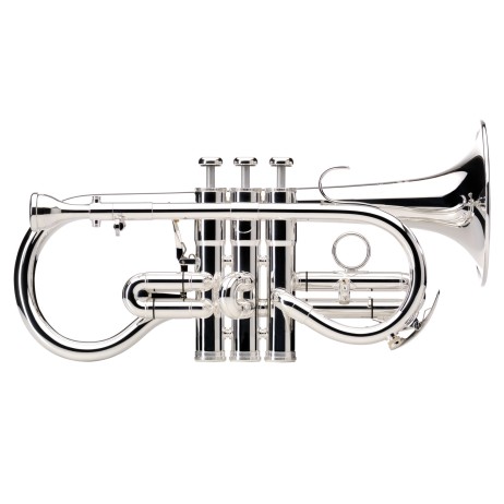 Kornetas in Es Sovereign BE924G Besson