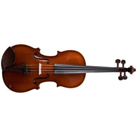 Violin 4/4 333w Bologna Strunal Schonbach