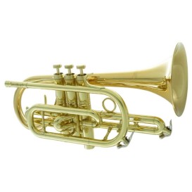 Kornetas Bb Intermediate Carol Brass