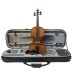 Violin Set 4/4 Outfit Graduate Stentor