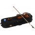 Violin Set 4/4 Outfit Graduate Stentor