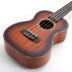 Ukulelė sopraninė Mahogany blizgi Octopus