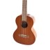 Ukulelė tenorinė Manoa K-TE VG512200 VGS
