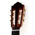 Klasikinė gitara Classical HGL5 Green line Hofner
