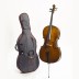 Violončelės komplektas 1/2 Student II Stentor