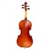 Smuiko komplektas 1/2 AS170 Afred Stingl Hofner