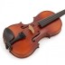 Violin set 1/2 AS170 Afred Stingl Hofner