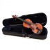 Violin set 1/2 AS170 Afred Stingl Hofner