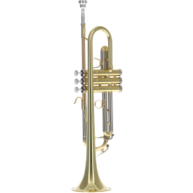 Trimitas Prodige B&S