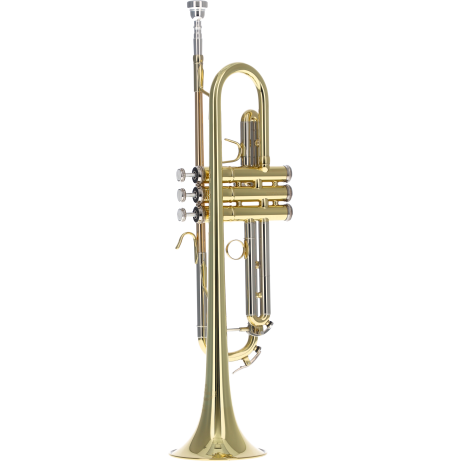 Trimitas Prodige B&S