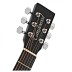 Gitara akustinė TWBB SFC su įgarsinimu Tanglewood