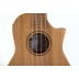 Concert ukulele Manoa Kaleo Bamboo with a case with amplifier VGS