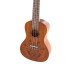 Ukulelė koncertinė Manoa Mexico su dėkliuku VGS