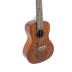 Ukulelė koncertinė Manoa Mexico su dėkliuku VGS