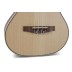 Ukulelė tenorinė Manoa M-TE VG514220 VGS
