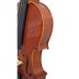 Violin outfit 4/4 - STENTOR - Conservatory Stentor