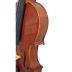 Smuiko komplektas 4/4 Conservatory Stentor