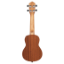 Ukulelė sopraninė RFU10S Ortega