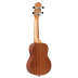 Ukulelė sopraninė RFU10S Ortega