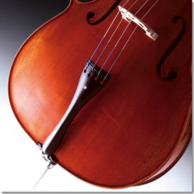 Violončelės komplektas 1/4 su dėklu ir stryku Franz Sandner