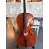 Violončelė  4/4 Outfit B ALCALYA