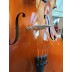 Violončelė  4/4 Outfit B ALCALYA