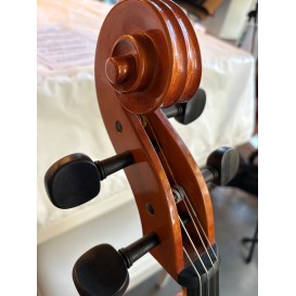 Violončelė  4/4 Outfit B ALCALYA