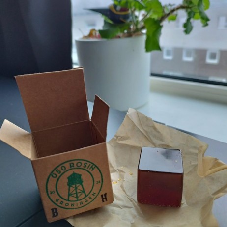 Kanifolija kontrabosui Hard Groningen 050 Rosin