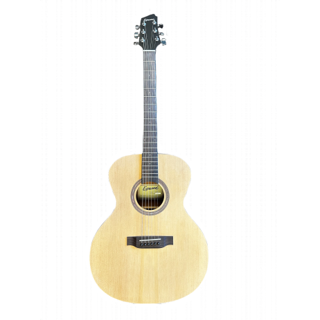 Gitara akustinė AV-19 Egmond