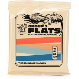 Stygos bosinei gitara Flatwound Stainless Steel Bass 45-100 Ernie Ball