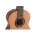 Klasikinė 3/4 gitara Student Cedar Gewa