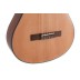Klasikinė 3/4 gitara Student Cedar Gewa