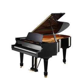 Koncertinis fortepijonas Academy A208 C.Bechstein