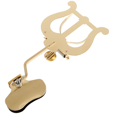 Lyra trombonui Nr.340 RMB Riedl