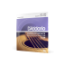 Stygos akustinei gitarai EJ26 Phosphor Bronze 11-52 D'Addario