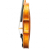 Smuikas 4/4 Ysaye modelis A ALCALYA