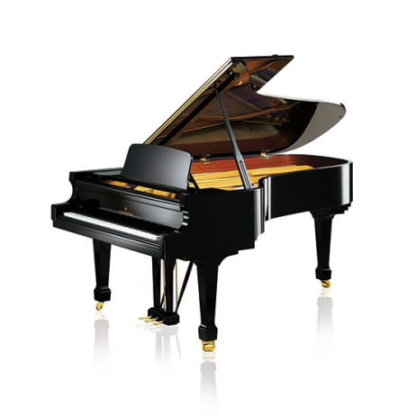 Koncertinis fortepijonas Academy A228 C.Bechstein
