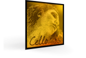 Single strings for cellos