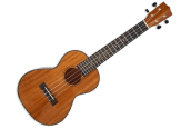 Stygos ukulelėms, arfoms, mandolinoms ir kt.