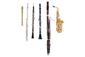 Woodwind instruments